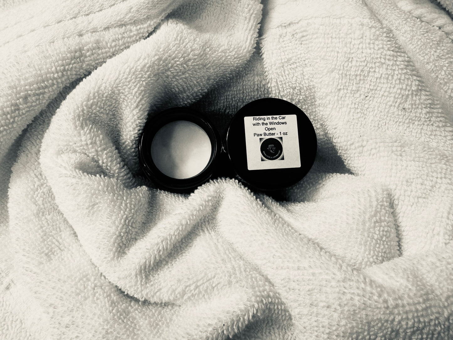 **Riding in the Car with the Windows Open (7/15/2023)**