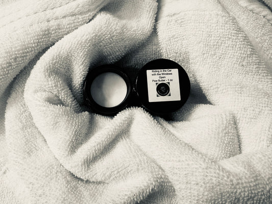 **Riding in the Car with the Windows Open (7/15/2023)**